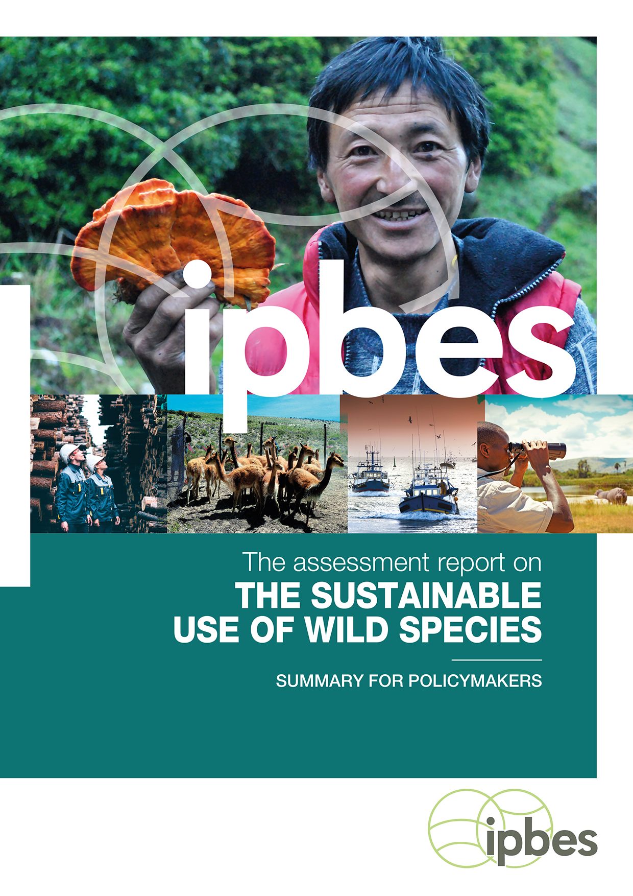 The Sustainable Use of Wild Species