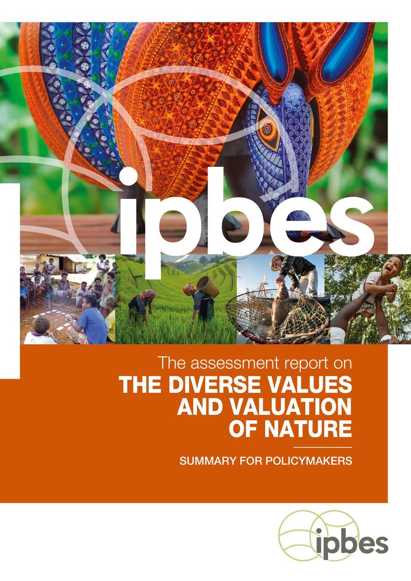 The Diverse Values and Valuation of Nature