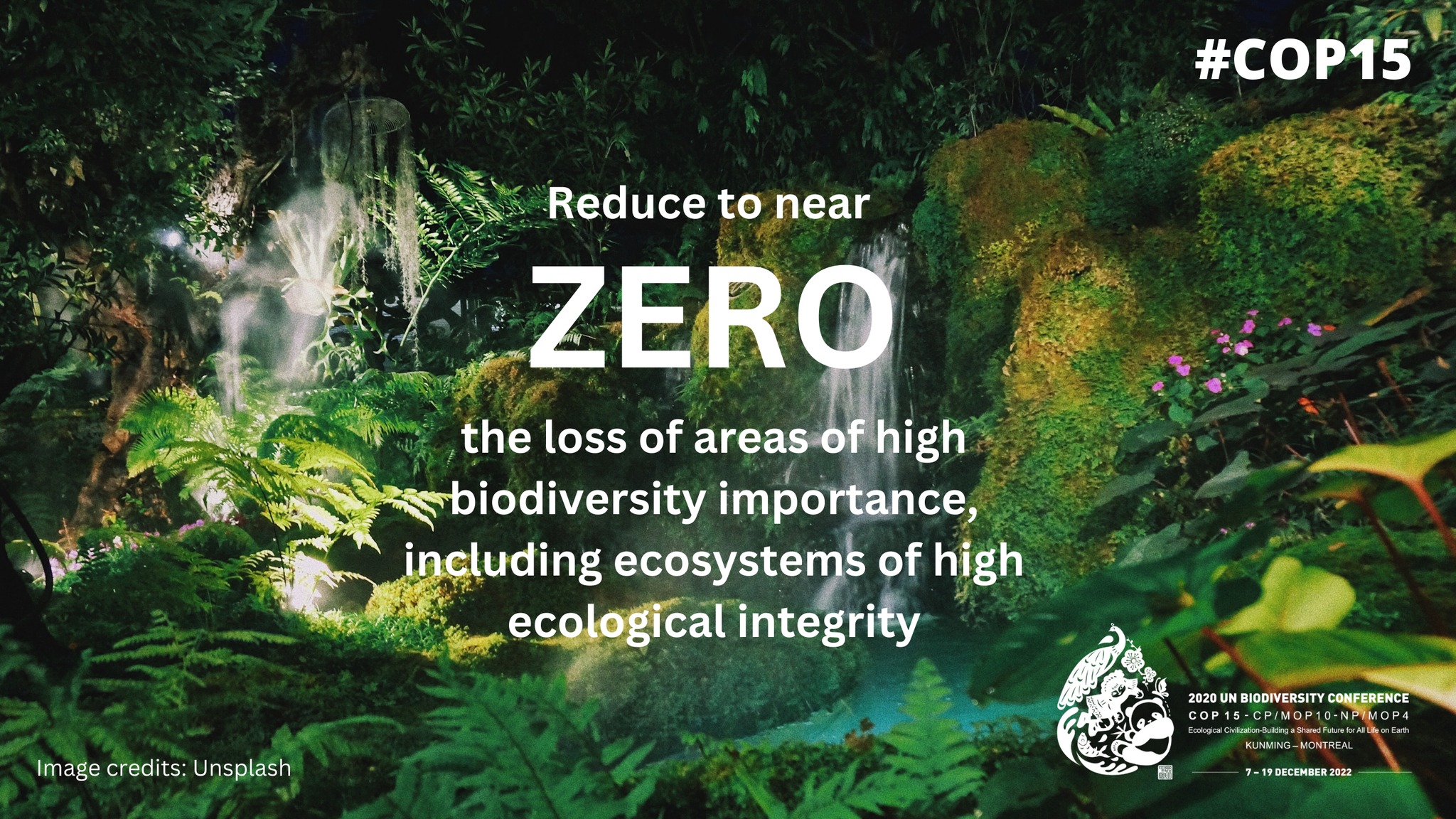 Global Biodiversity Framework