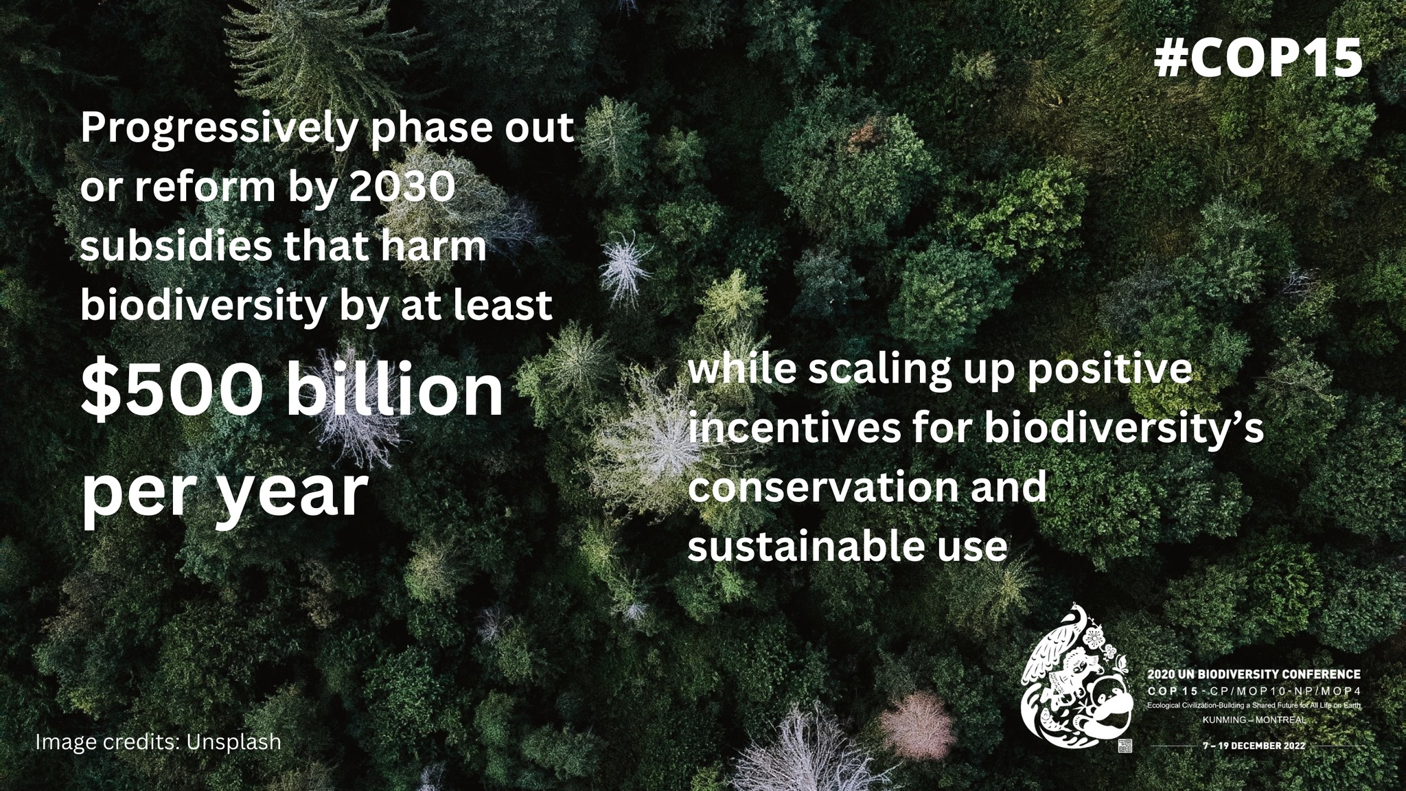 Global Biodiversity Framework