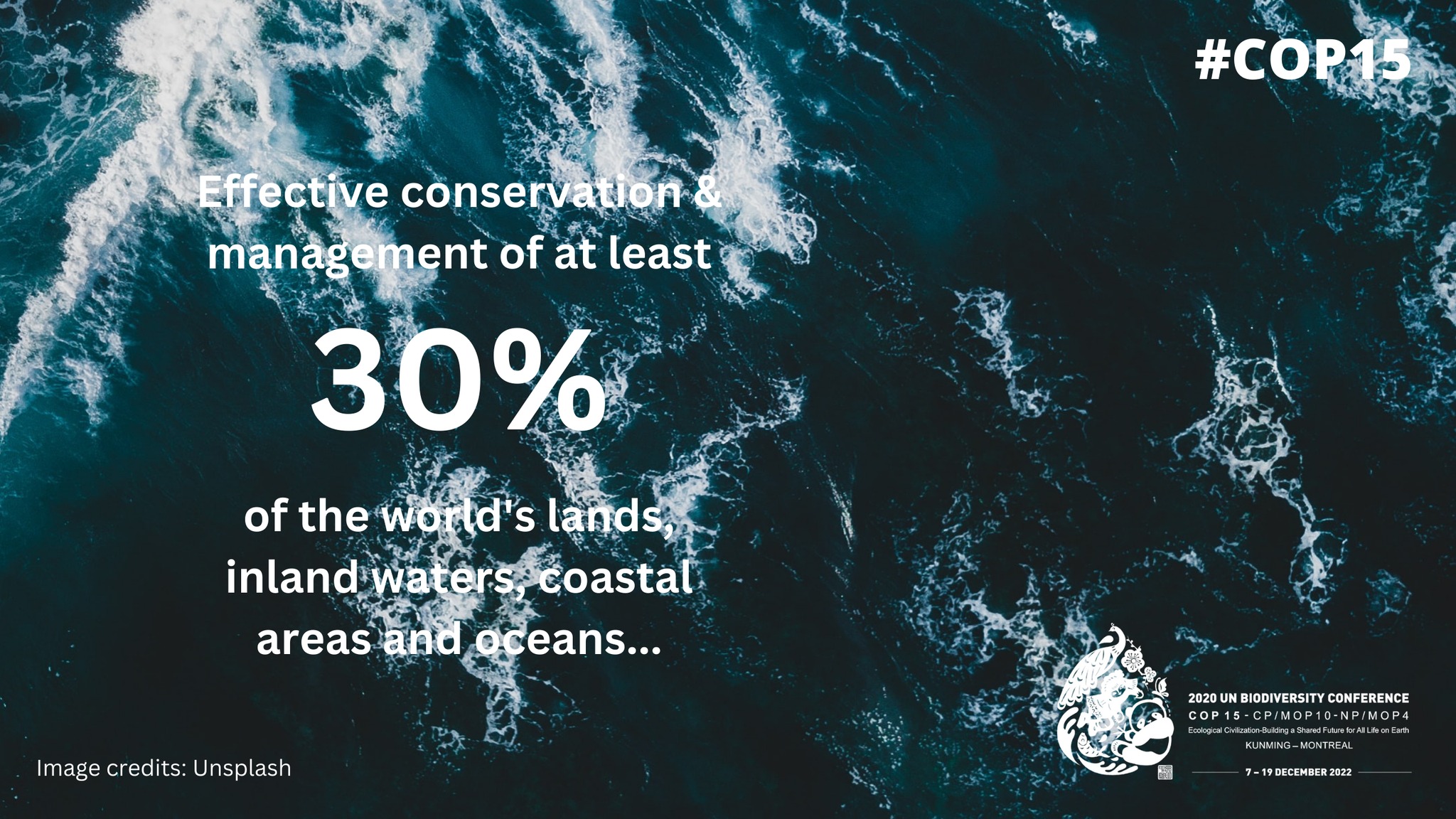 Global Biodiversity Framework