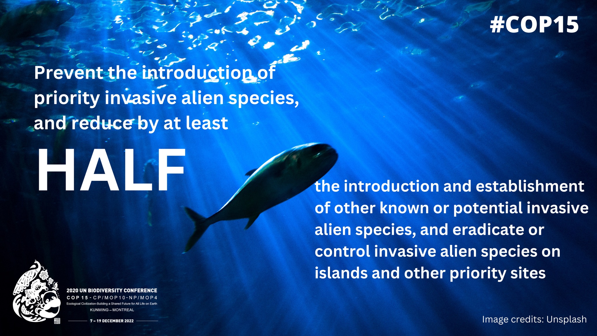 Global Biodiversity Framework