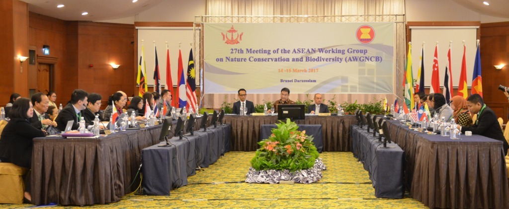 AWGNCB Mtg