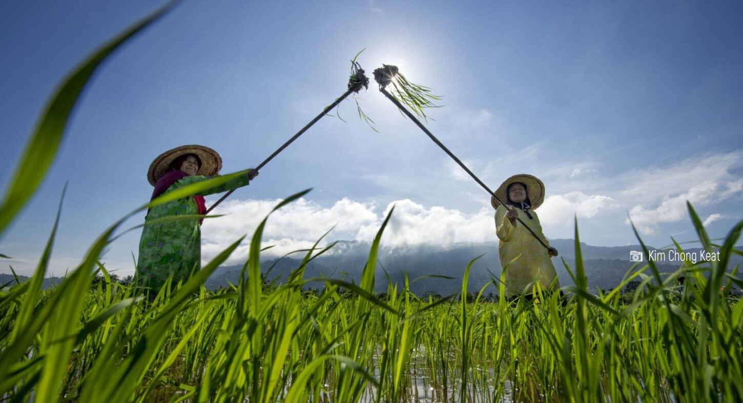 ASEAN women: Leaders towards an inclusive sustainable future