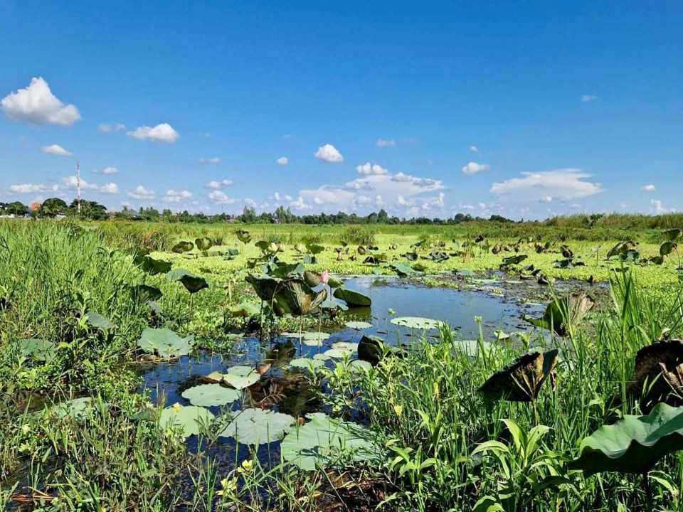 Lao PDR mulls nominating Nong Kham Sen as an urban wetland ASEAN Heritage Park