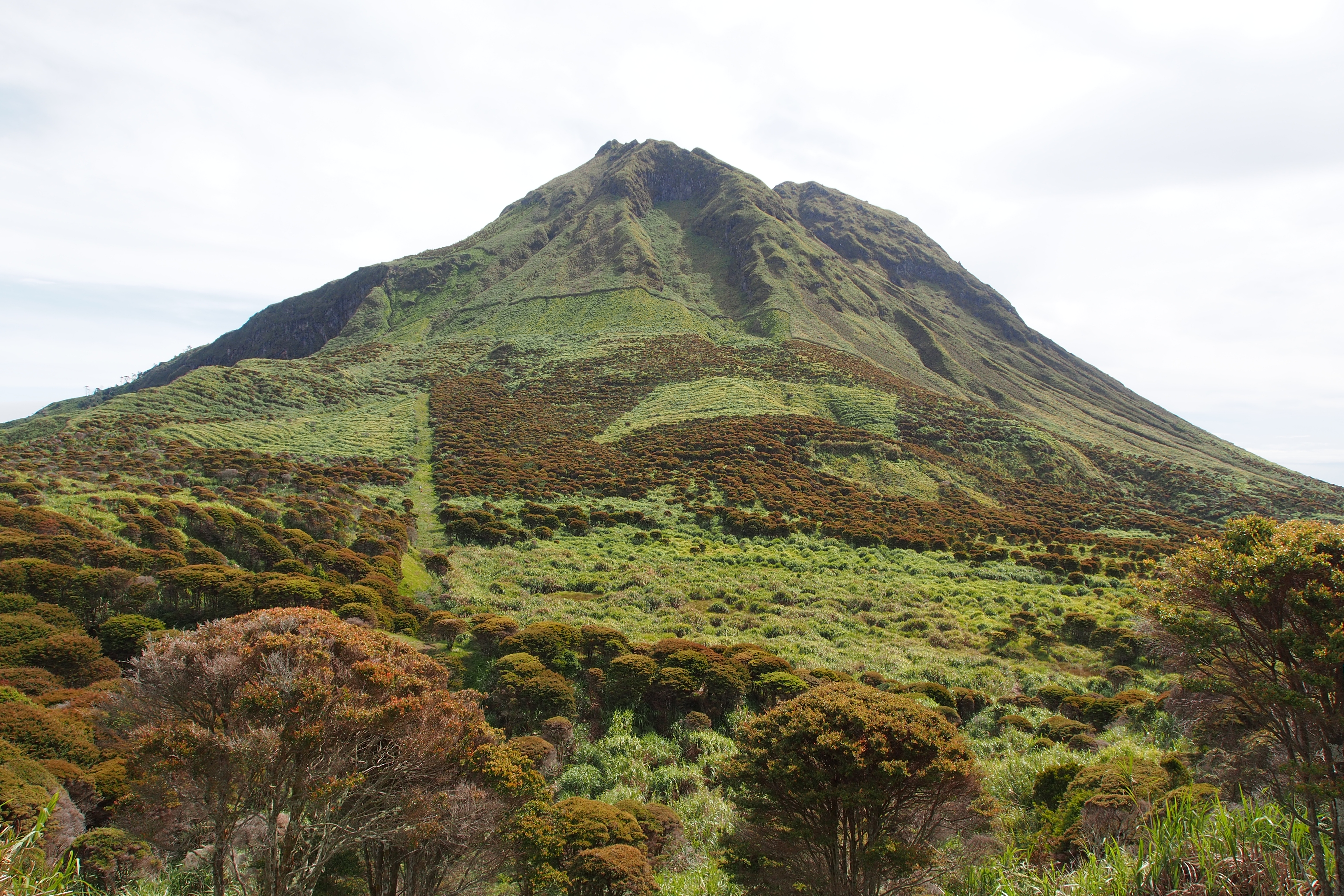 Merging nature and finance is crucial to meet biodiversity targets