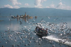 Birdwatchers may visit Indawgyi from November to March when thousands of birds flock over the lake Photo by: Wai Phyoe Maung